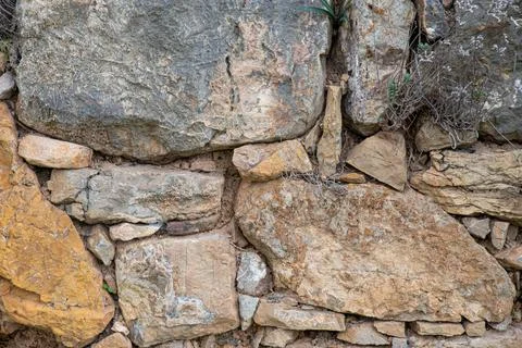 Texture of an old stone wall with dry stems on it Stock Photos