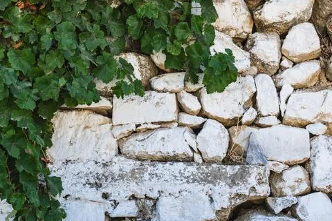 Texture of old stone wall made from limestone 库存照片