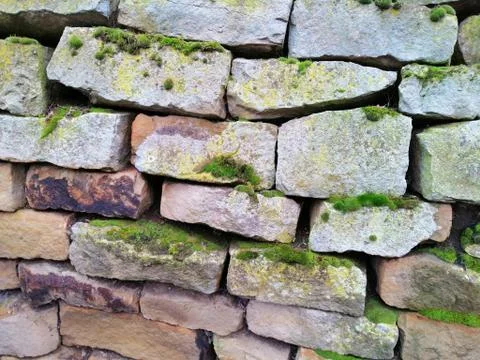 Texture of the old stone wall with moss. Stock Photos