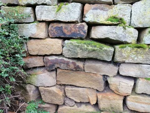 Texture of the old stone wall with moss. Stock Photos