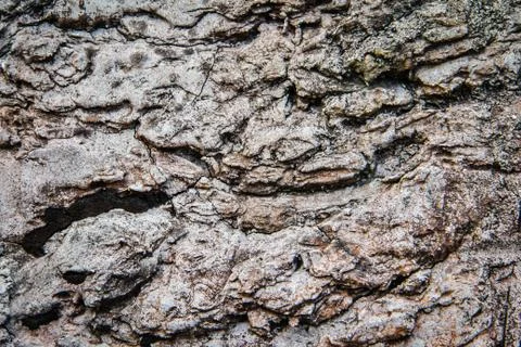 Texture of old stone wall Stock Photos