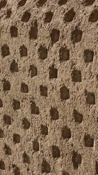Texture of an old stone wall with small repetitive orifices Stock Photos