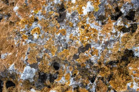 Texture of old stone with yellow spots Stock Photos