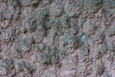 Texture of old textured limestone plaster Stock Photos