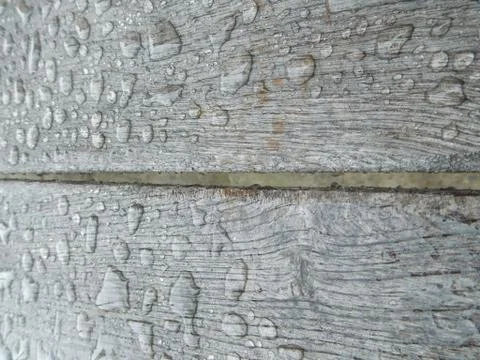The texture of an old tree and a drop of spring rain. Stock Photos