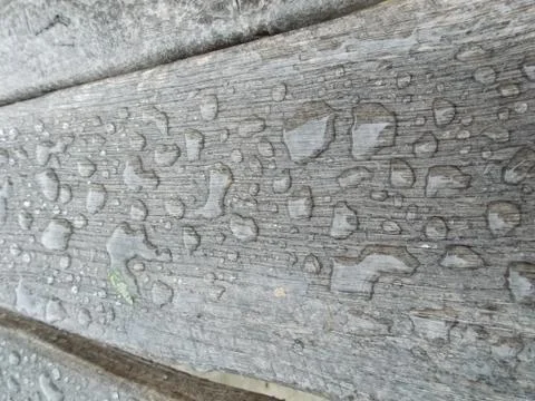 The texture of an old tree and a drop of spring rain. Stock Photos