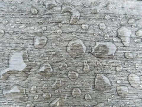 The texture of an old tree and a drop of spring rain. Stock Photos