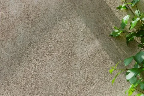 Texture of old wall for background Stock Photos