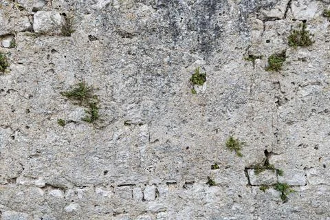 Texture of an old wall made from stone Stock Photos