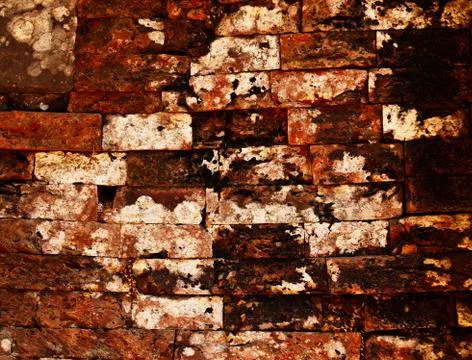 Texture of old wall Stock Photos