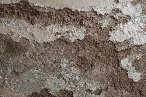 Texture of an old Wall Foto stock