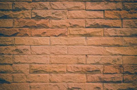 Texture of old wall. Stock Photos