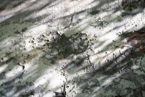 Texture of the old wall with plaster and shadows Stock Photos