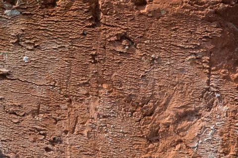 Texture Of Old Weathered Brick in Harsh Direct Sunlight Stock Photos