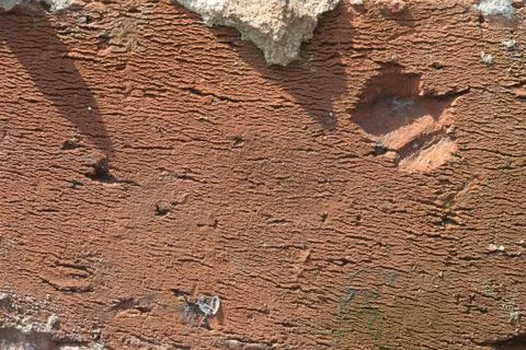 Texture Of Old Weathered Brick in Harsh Direct Sunlight Foto stock