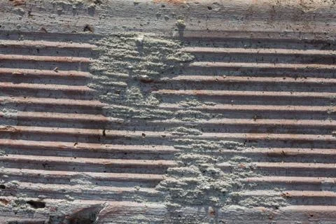 Texture Of Old Weathered Brick in Harsh Direct Sunlight Stock Photos