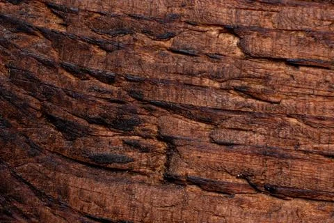 Texture of old wood close-up. Can be used as a background. Stock Photos