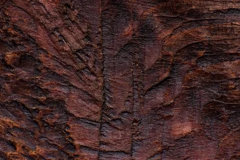 Texture of old wood close-up. Can be used as a background. Stock Photos