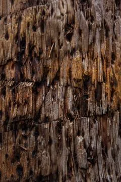Texture of old wood with cracks, background Stock Photos