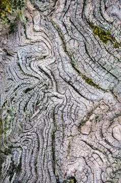 Texture of old wood Foto stock