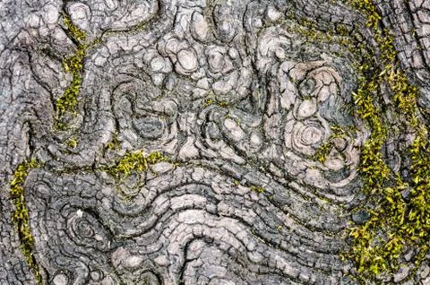 Texture of old wood Foto stock