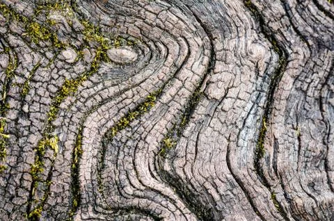 Texture of old wood Foto stock