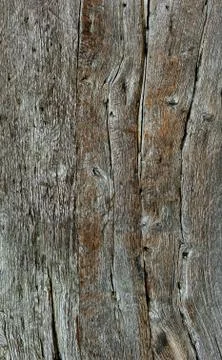 Texture of the old wood. Stock Photos