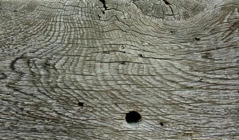 Texture of the old wood. Stock Photos