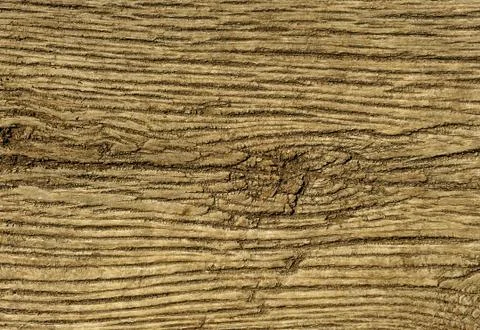 Texture of the old wood. Stock Photos