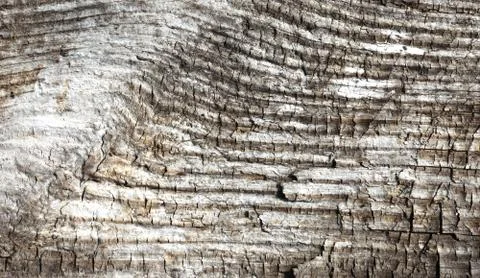 Texture of old wood Stock Photos