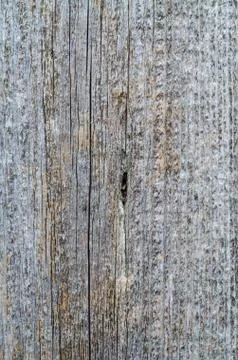Texture of old wood Stock Photos