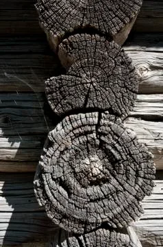 Texture of old wood Stock Photos
