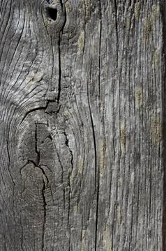 Texture of old wood Stock Photos