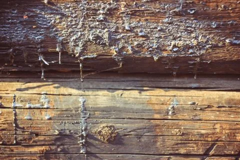 Texture of old wood Stock Photos