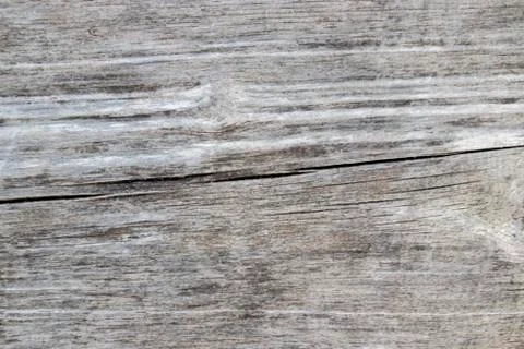 Texture old wood. Stock Photos