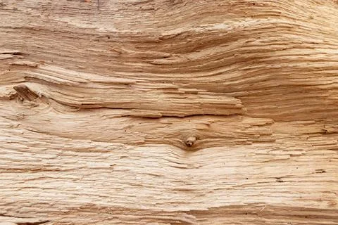 The texture of old wood. 스톡 사진