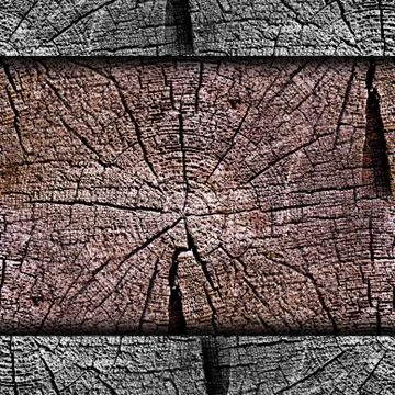 Texture oldest tree in context rings background your message wal Photos