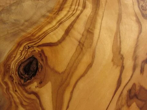 Texture from an olive wood Foto stock
