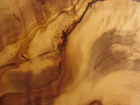 Texture from an olive wood Foto stock
