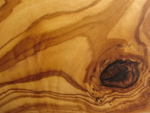 Texture from an olive wood Stock Photos