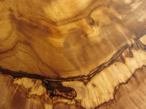 Texture from an olive wood Stock Photos