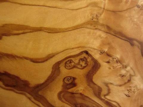 Texture from an olive wood Stock Photos