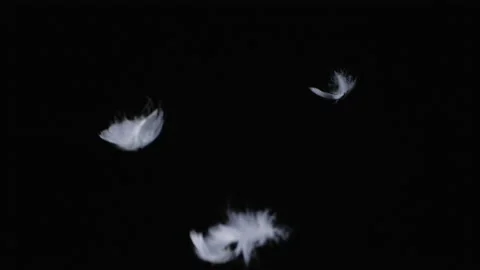 Texture of one flying white feathers 動画素材 232845713