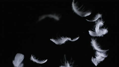 Texture of one flying white feathers 스톡 동영상 232845747