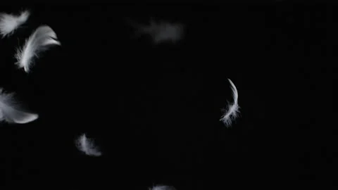 Texture of one flying white feathers 動画素材 232846063