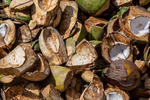 Texture of open and cracked coconuts Foto stock