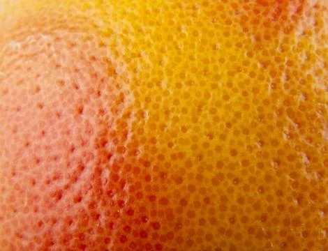 Texture of the orange Stock Photos