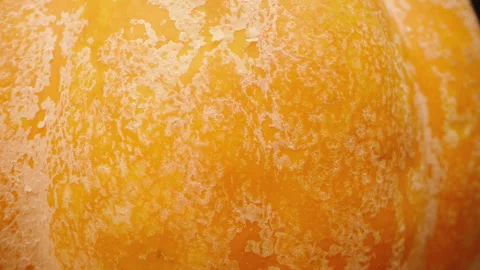 Texture of orange pumpkin, macro slider. Stock Footage 247893963