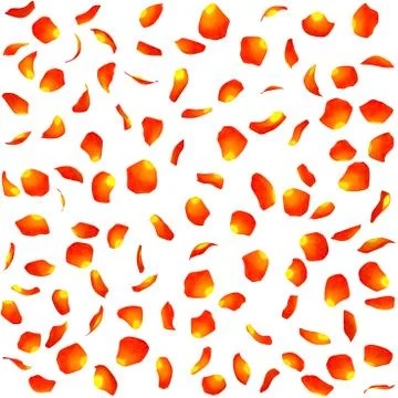 Texture of orange rose petals Stock Illustration