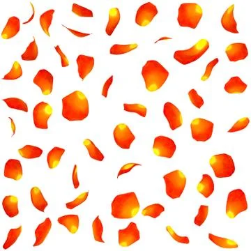Texture of orange rose petals Illustrazione stock